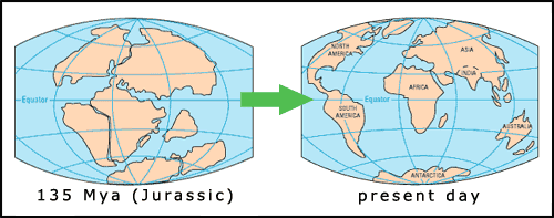 maps showing the drift of continents over the Earth with time