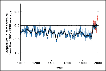 Variations of the Earth's surface temperature over the last 1000 years